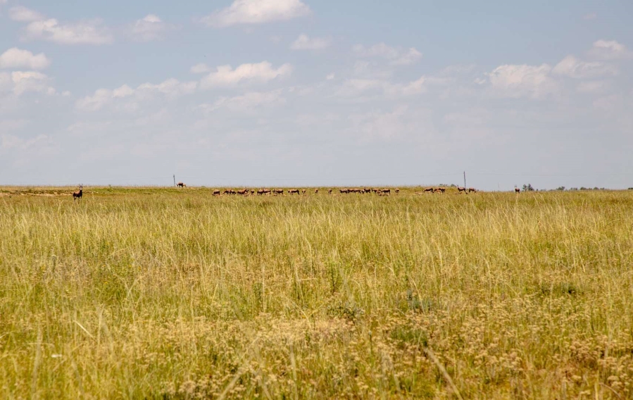 23 Bedroom Property for Sale in Heilbron Free State